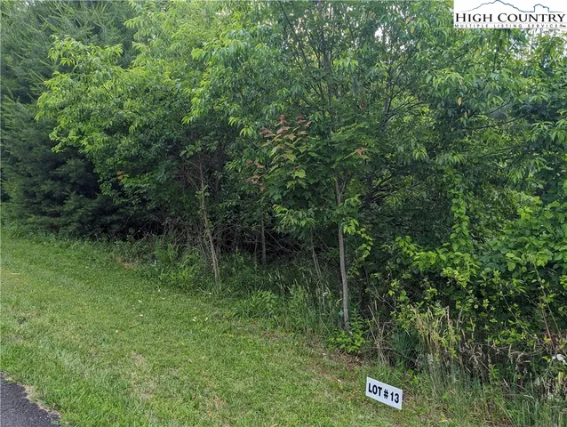 $18,000 | Lot 13 Briarwood Lane, Sparta, NC 28675