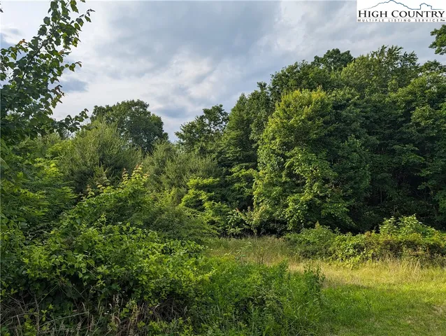 $18,000 | Lot 13 Briarwood Lane, Sparta, NC 28675