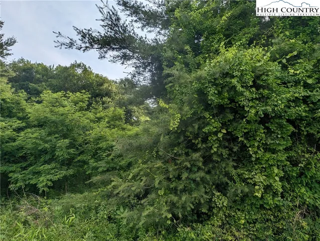 $18,000 | Lot 13 Briarwood Lane, Sparta, NC 28675