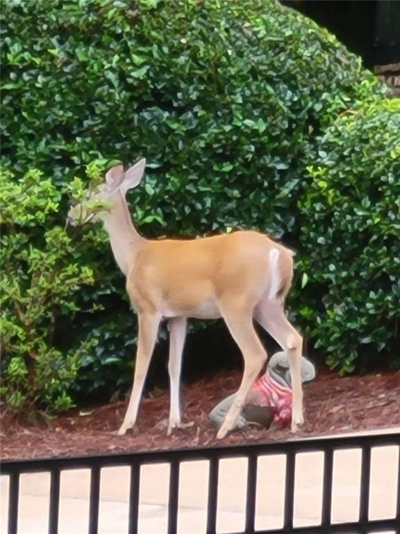 7270 Flowery Branch Road Cumming, GA 30041 - Photo 56 of 67