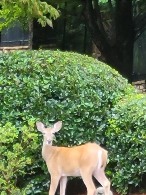 7270 Flowery Branch Road Cumming, GA 30041 - Photo 57 of 67