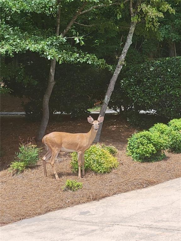 7270 Flowery Branch Road Cumming, GA 30041 - Photo 58 of 67