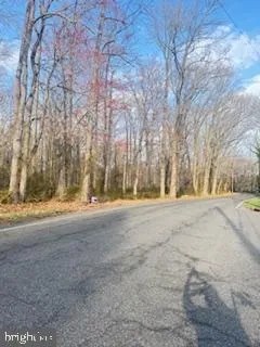 a view of dirt yard with large trees