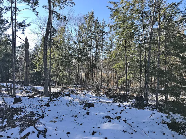 $195,000 | One Newcastle Me 04553, Newcastle, ME 04553