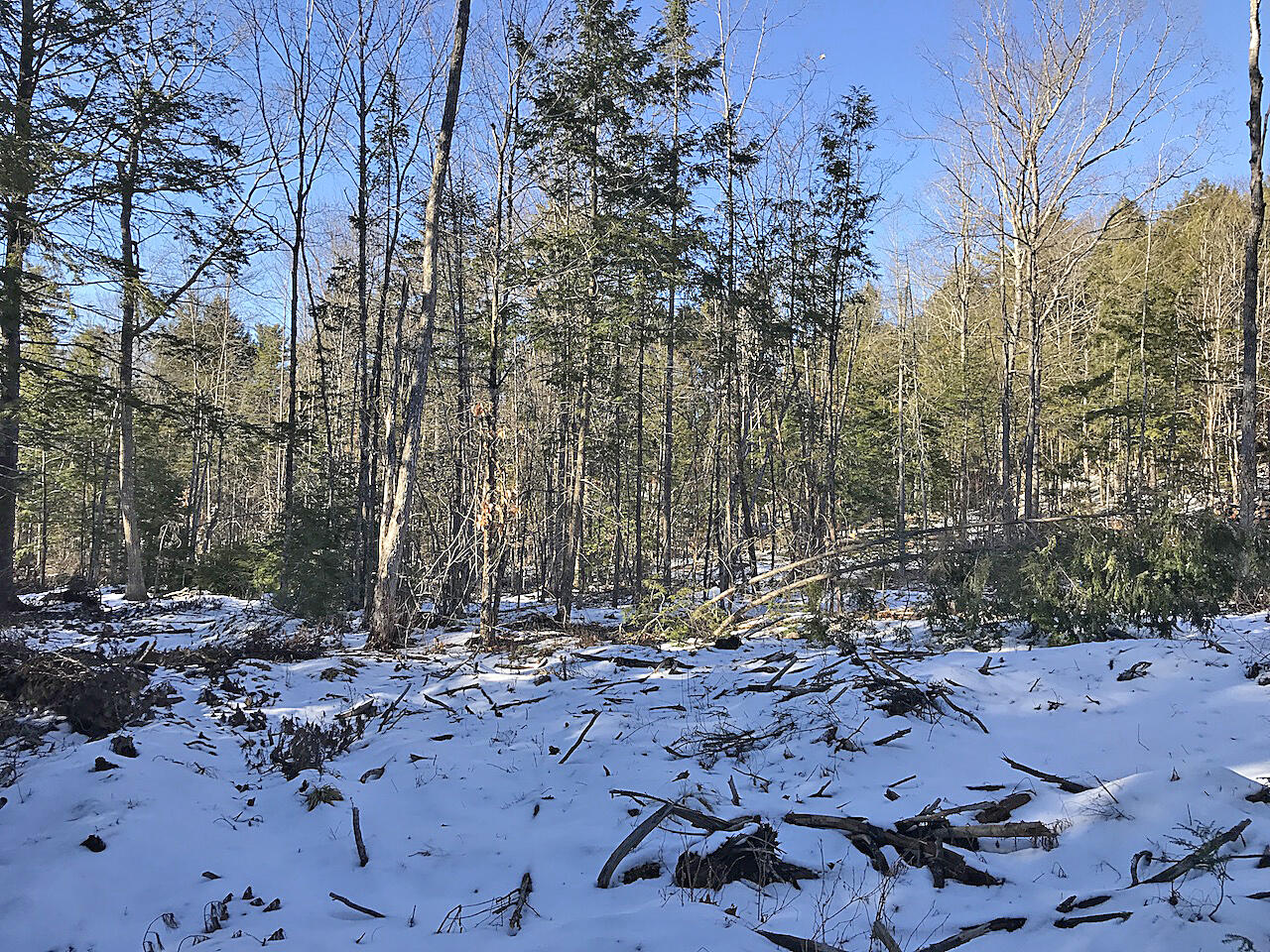 One Newcastle Me 04553 Newcastle, ME 04553 - Photo 5 of 6 Interior 3