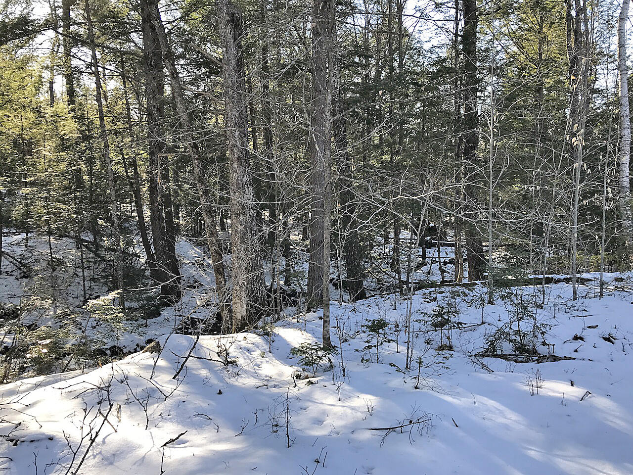 One Newcastle Me 04553 Newcastle, ME 04553 - Photo 6 of 6 Interior 4