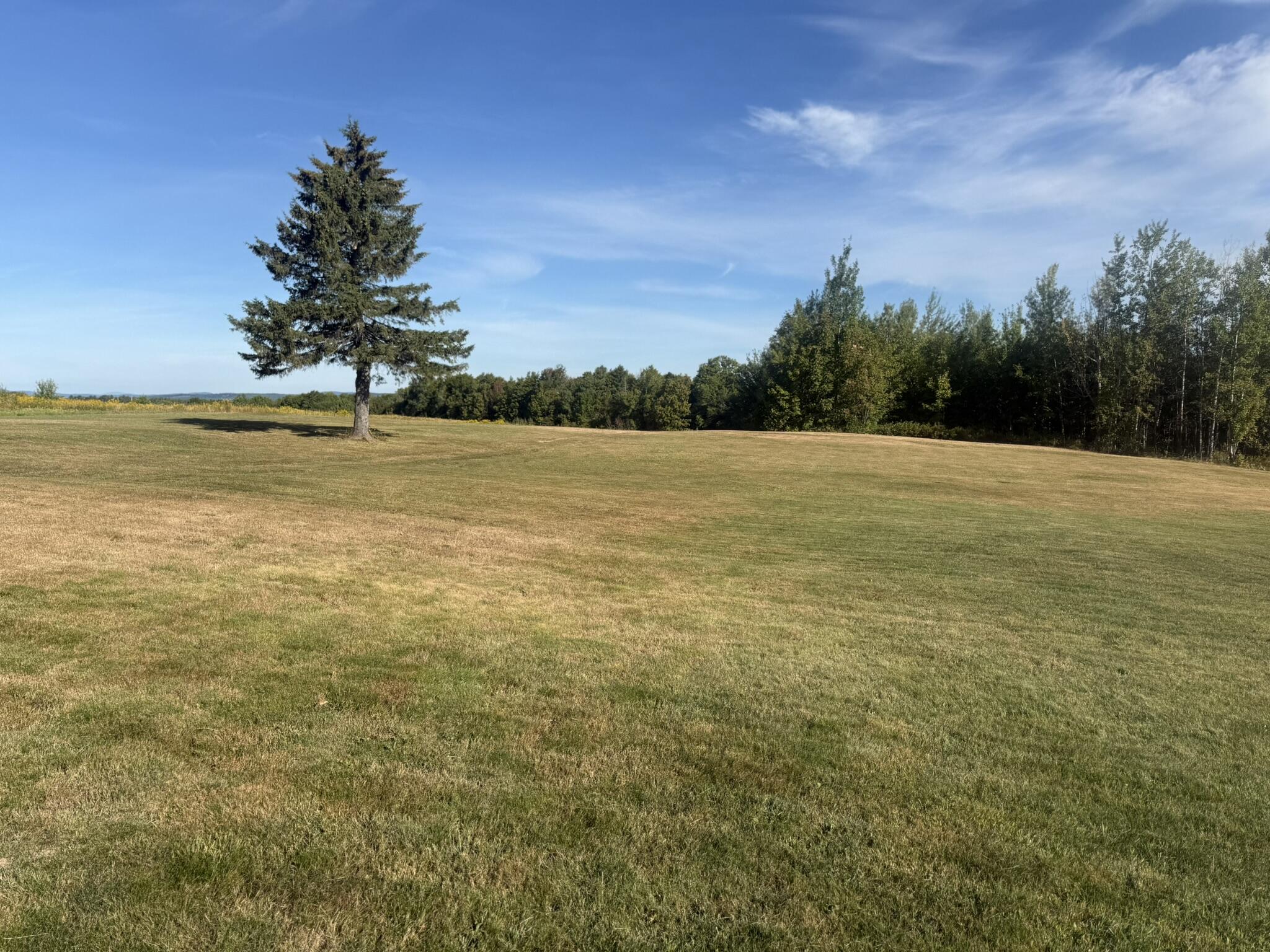 551 East Sangerville Road Sangerville, ME 04479 - Photo 11 of 82 IMG_1333