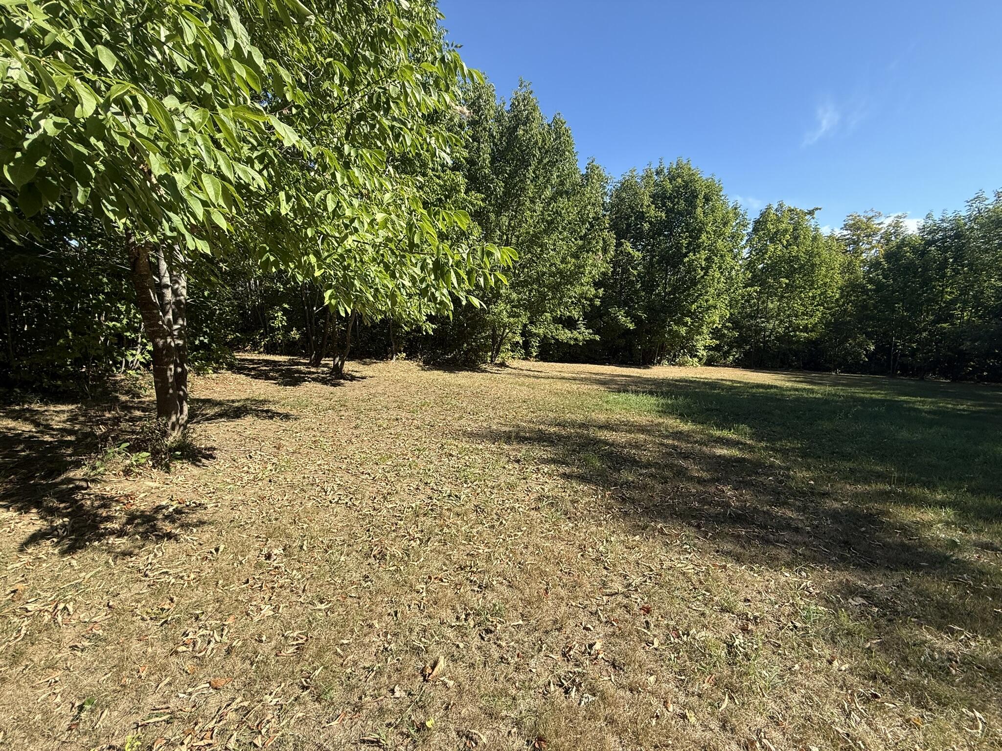 551 East Sangerville Road Sangerville, ME 04479 - Photo 75 of 82 IMG_1404