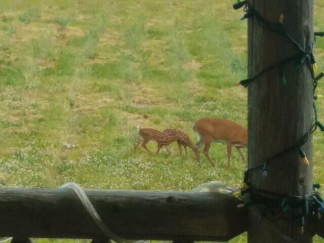 551 East Sangerville Road Sangerville, ME 04479 - Photo 82 of 82 4