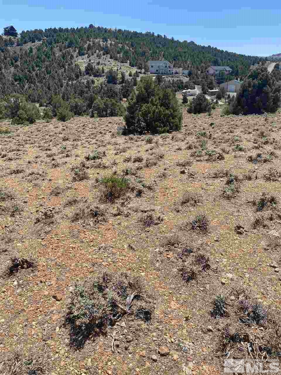 1407 Calavaras Road, Unit 9 Reno, NV 89521 - Photo 1 of 2 a view of a dry yard with wooden fence