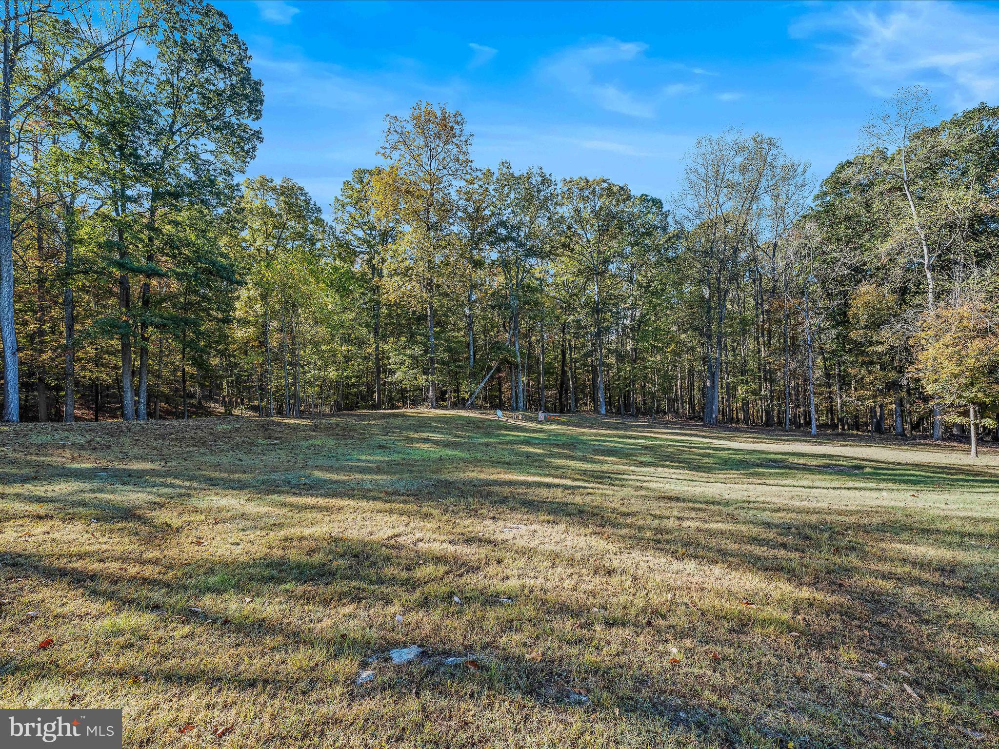 154 Brooklyn's Way Great Cacapon, WV 25422 - Photo 34 of 64 Backyard