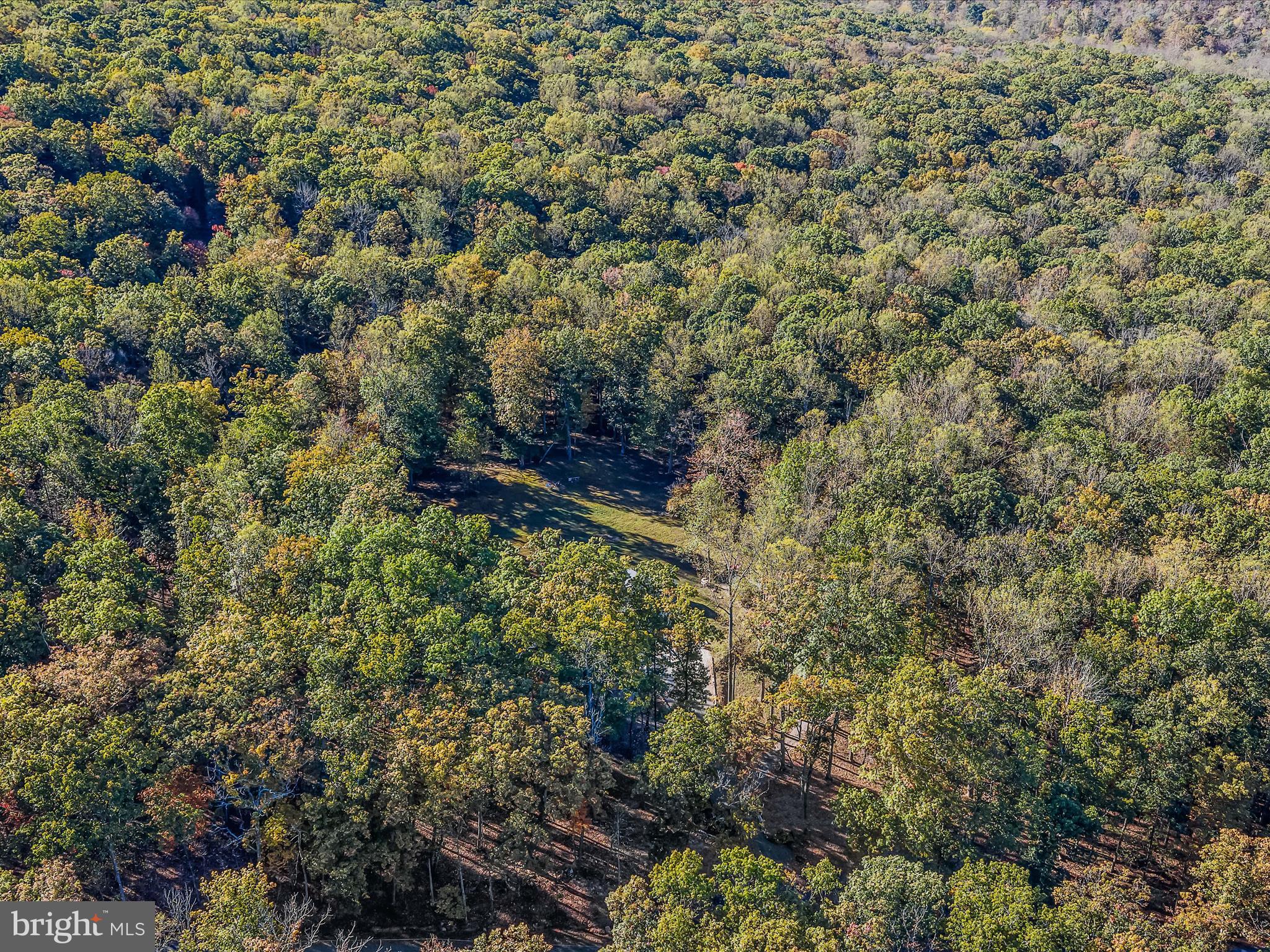 154 Brooklyn's Way Great Cacapon, WV 25422 - Photo 46 of 64 a view of a house with a tree