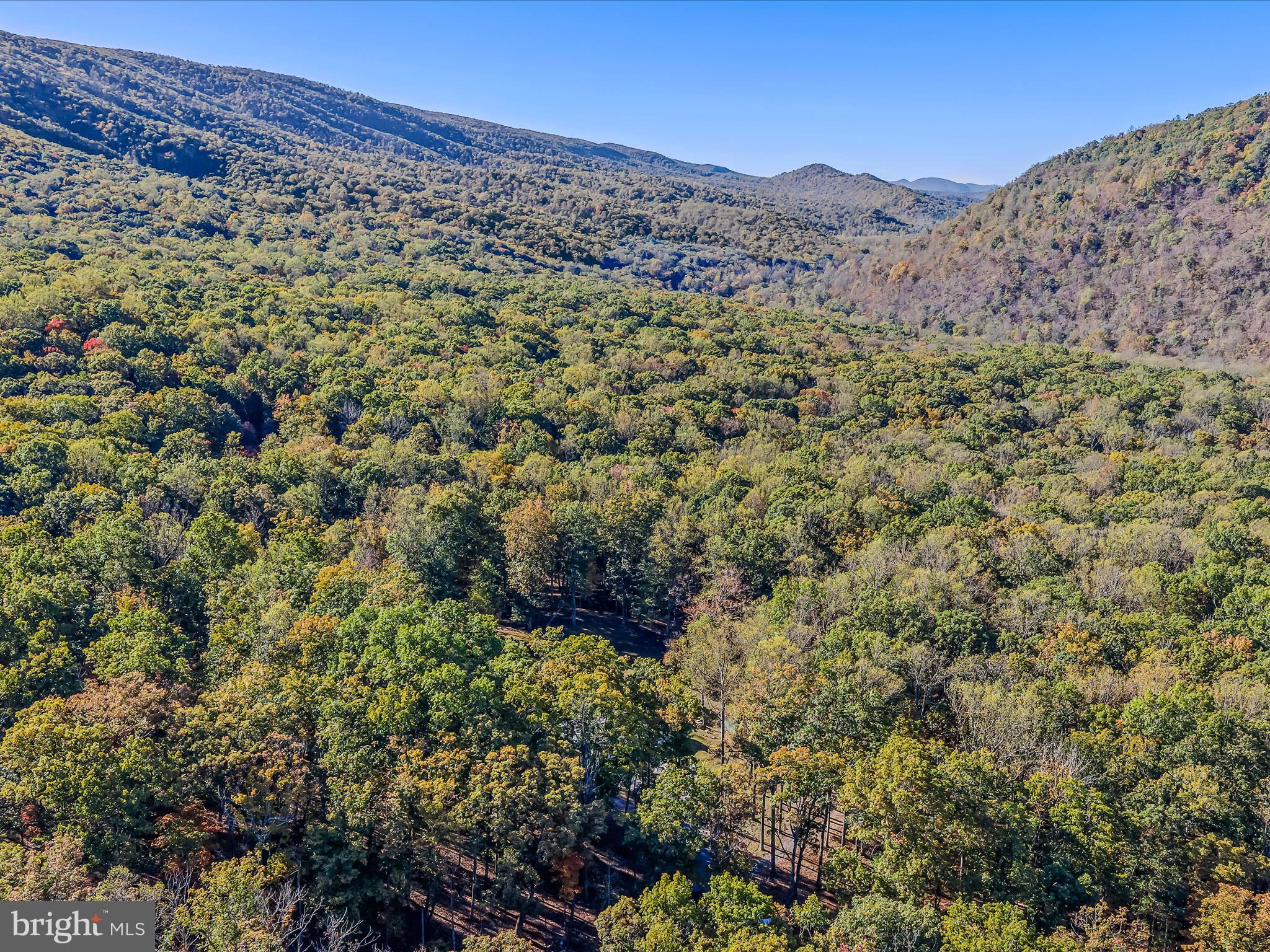 154 Brooklyn's Way Great Cacapon, WV 25422 - Photo 47 of 64 a view of a dry yard with mountains in the background