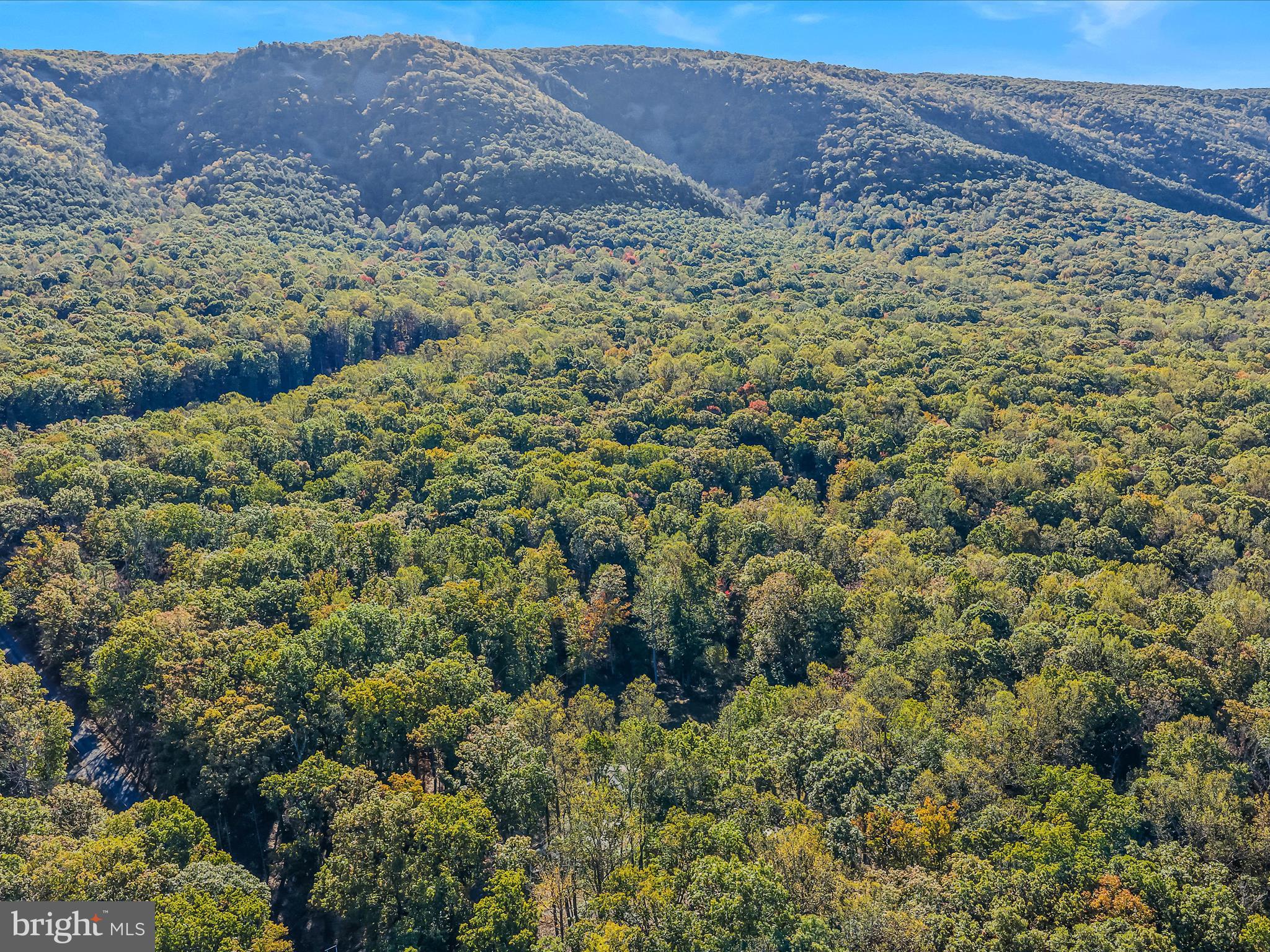154 Brooklyn's Way Great Cacapon, WV 25422 - Photo 49 of 64 a view of a forest with mountains in the background
