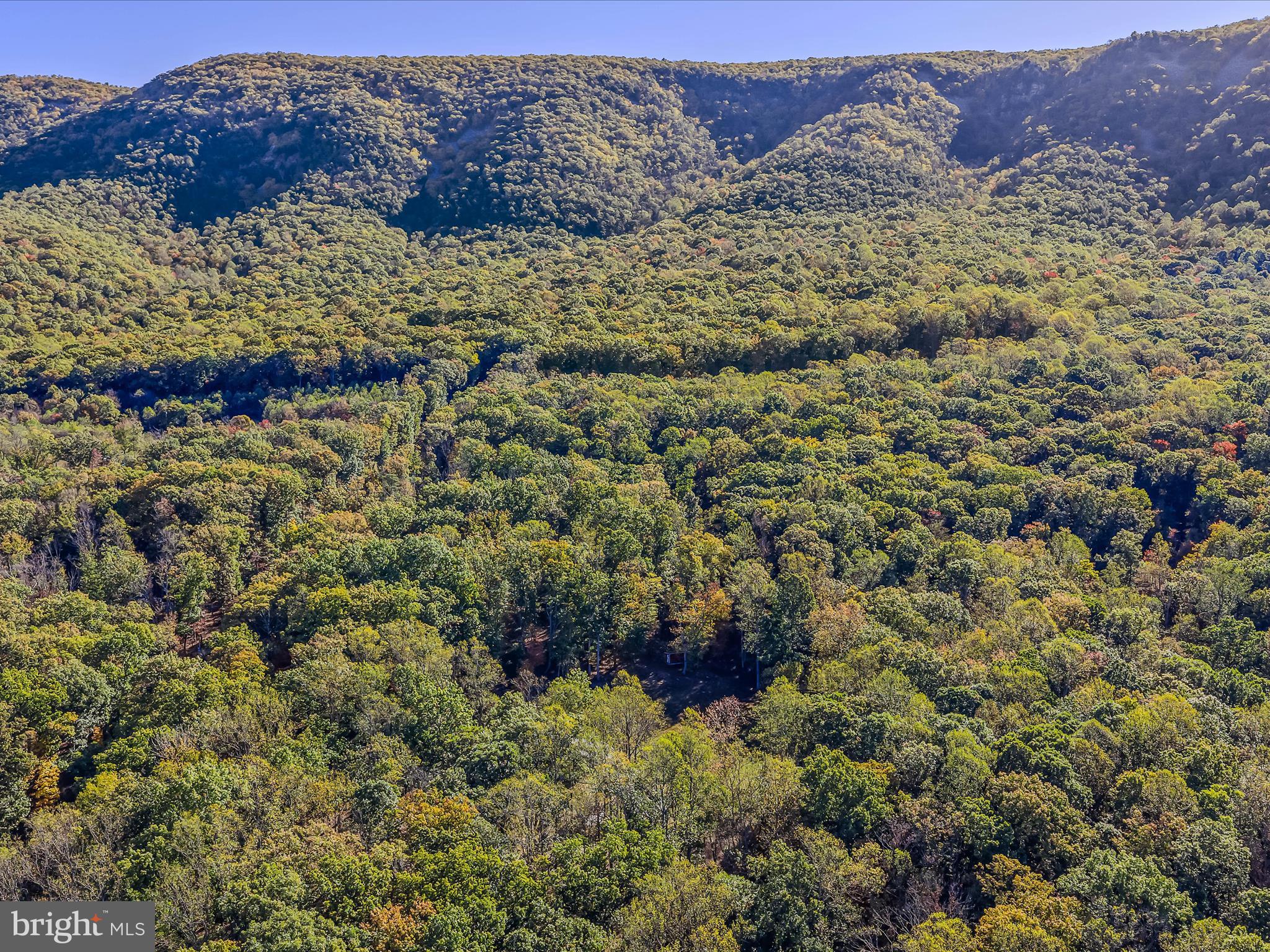 154 Brooklyn's Way Great Cacapon, WV 25422 - Photo 50 of 64 a view of a area with a mountain