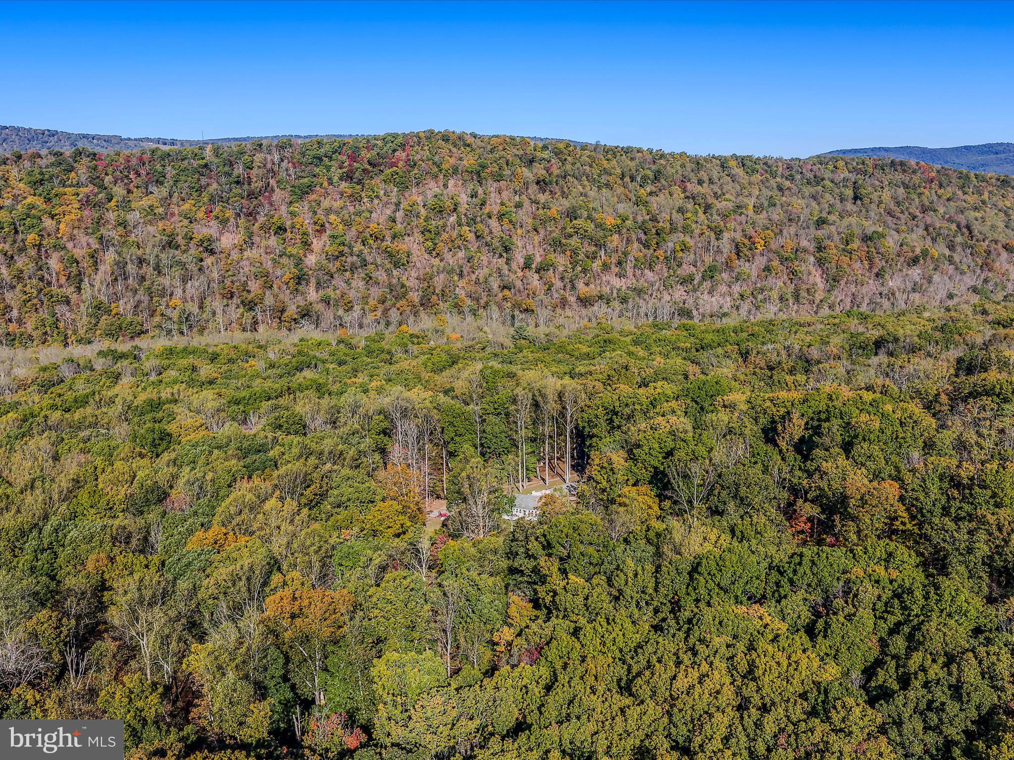 154 Brooklyn's Way Great Cacapon, WV 25422 - Photo 54 of 64 a view of outdoor space and mountain view