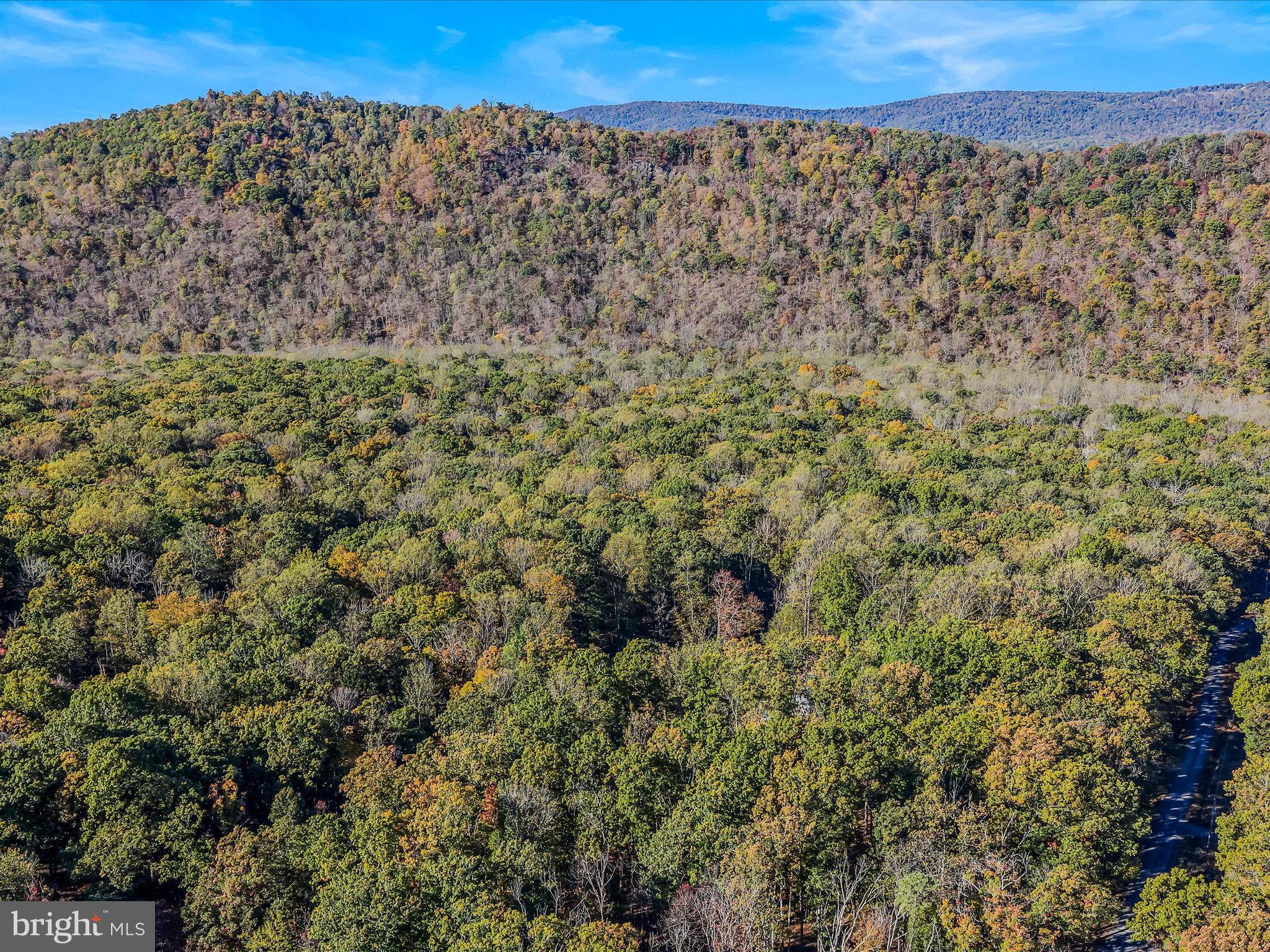 154 Brooklyn's Way Great Cacapon, WV 25422 - Photo 56 of 64 a view of a green field