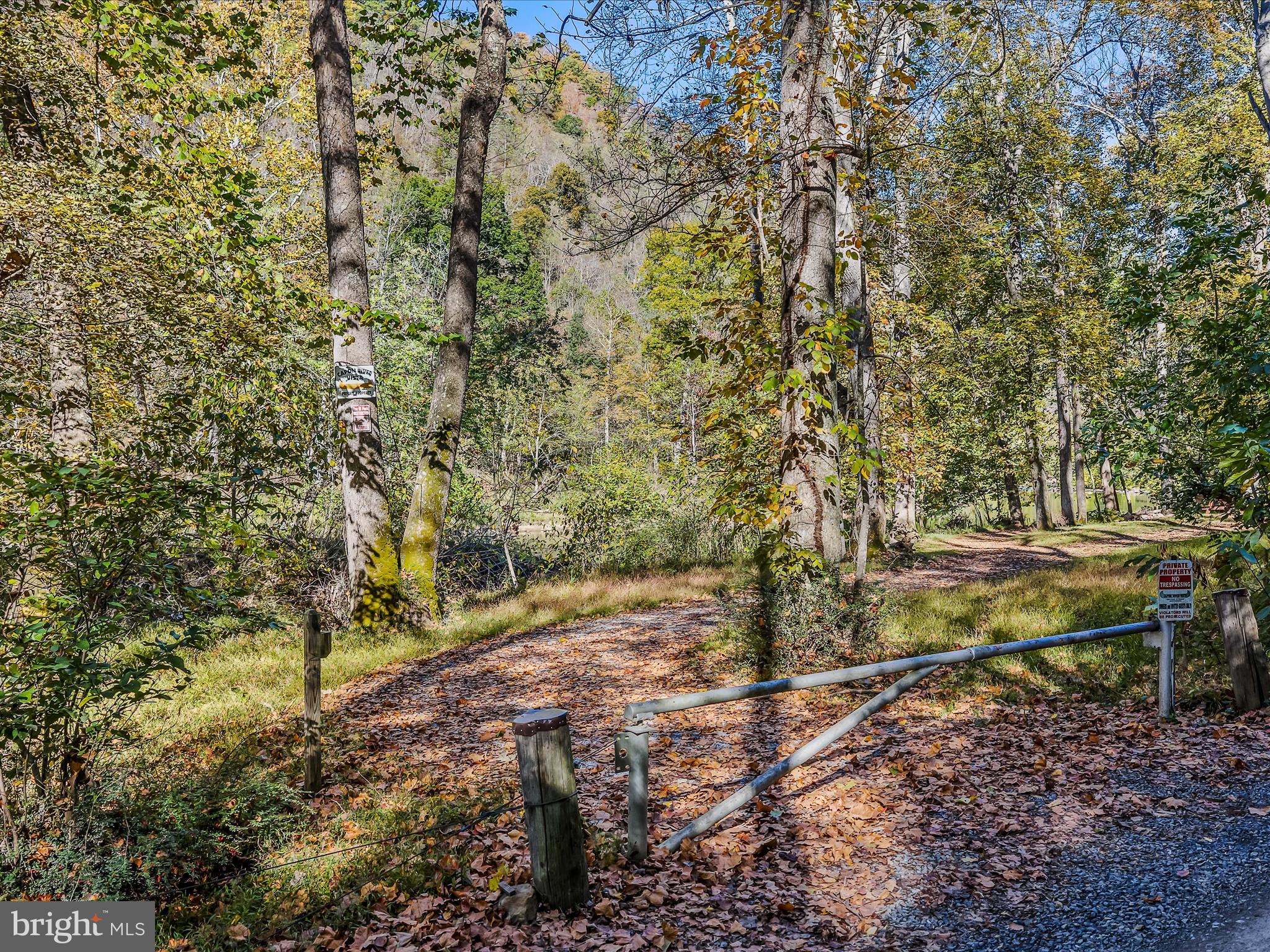 154 Brooklyn's Way Great Cacapon, WV 25422 - Photo 57 of 64 a view of a yard with trees