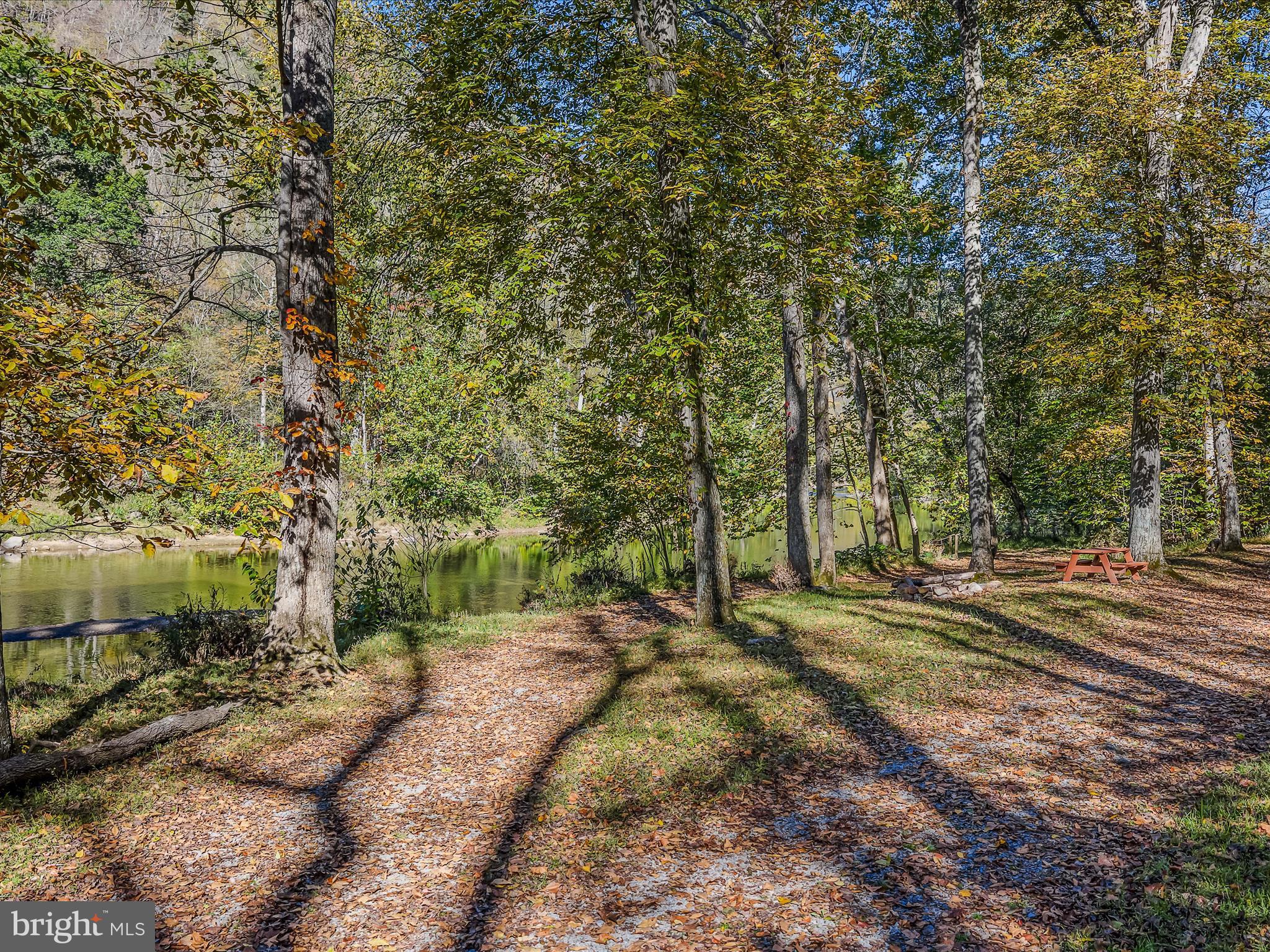 154 Brooklyn's Way Great Cacapon, WV 25422 - Photo 58 of 64 a view of a yard with plants and trees
