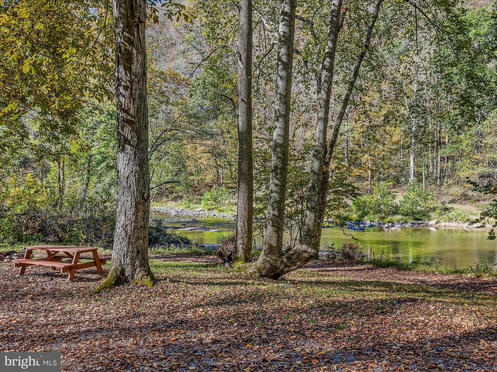 154 Brooklyn's Way Great Cacapon, WV 25422 - Photo 59 of 64 a view of a yard with large trees