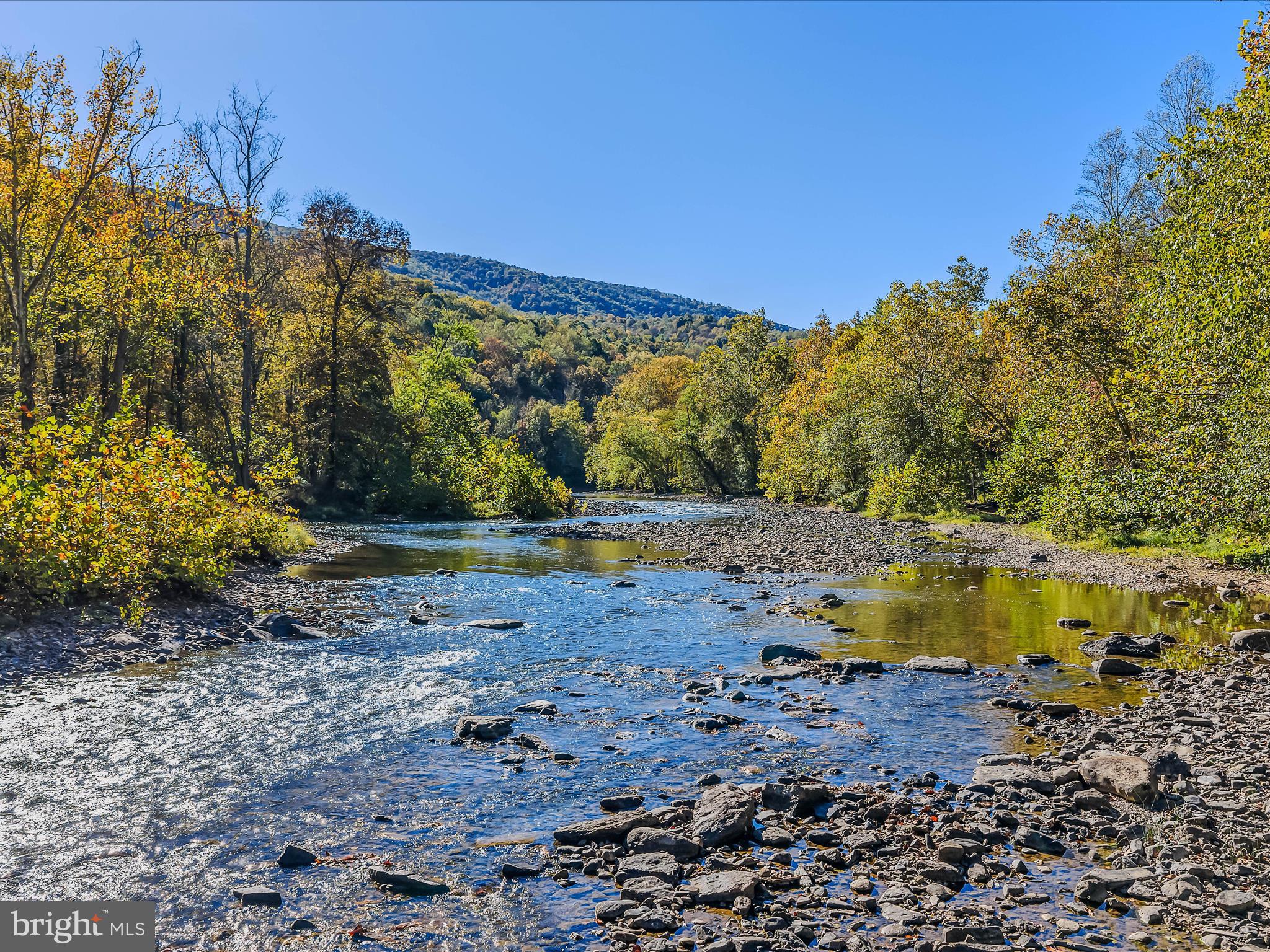 154 Brooklyn's Way Great Cacapon, WV 25422 - Photo 61 of 64 a view of a yard with a tree