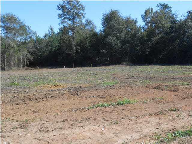 0 Lowery Road Atmore, AL 36502 - Photo 13 of 22