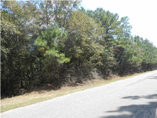 0 Lowery Road Atmore, AL 36502 - Photo 3 of 22