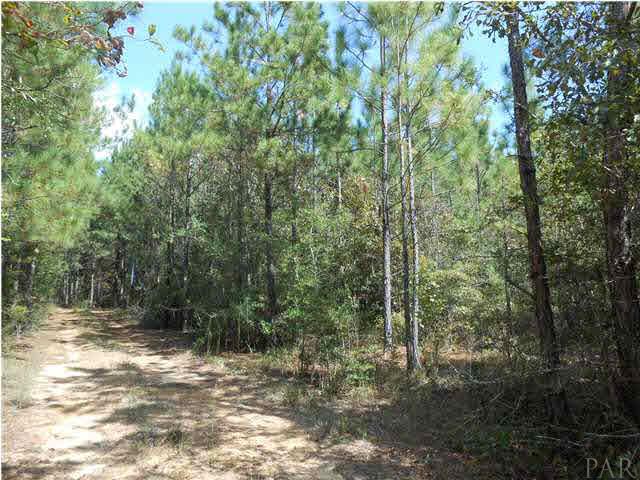 0 Lowery Road Atmore, AL 36502 - Photo 5 of 22