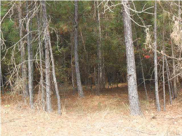 0 Lowery Road Atmore, AL 36502 - Photo 8 of 22