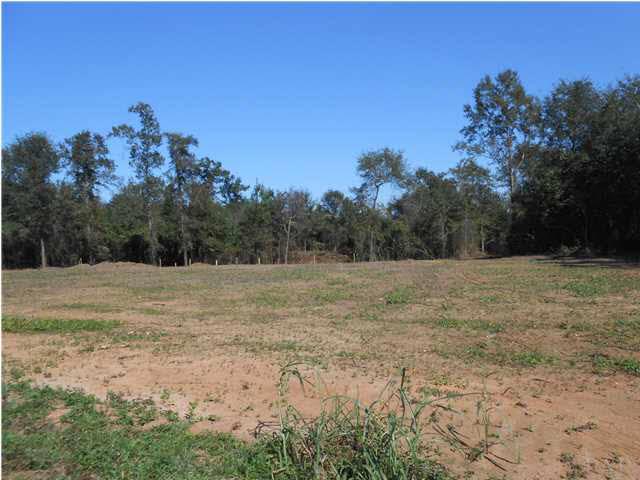 0 Lowery Road Atmore, AL 36502 - Photo 9 of 22