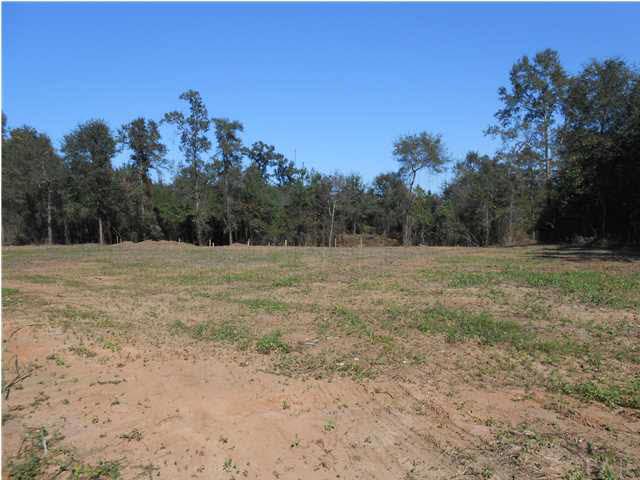 0 Lowery Road Atmore, AL 36502 - Photo 10 of 22