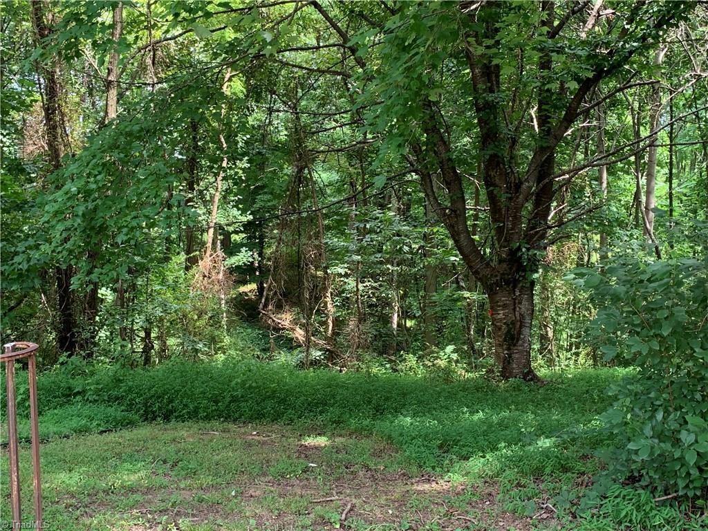 1085 Troy Joyce Road Madison, NC 27025 - Photo 5 of 18 Gallery Image 5