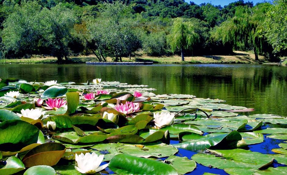 2720 Painted Cave Road Santa Barbara, CA 93105 - Photo 15 of 23 a picture of a lake with a table and a benches