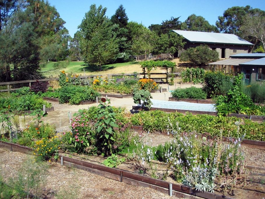 2720 Painted Cave Road Santa Barbara, CA 93105 - Photo 19 of 23 a view of backyard with outdoor seating and green space