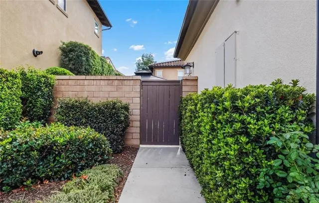 a view of a pathway of a yard