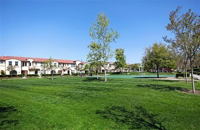 a garden with lots of trees