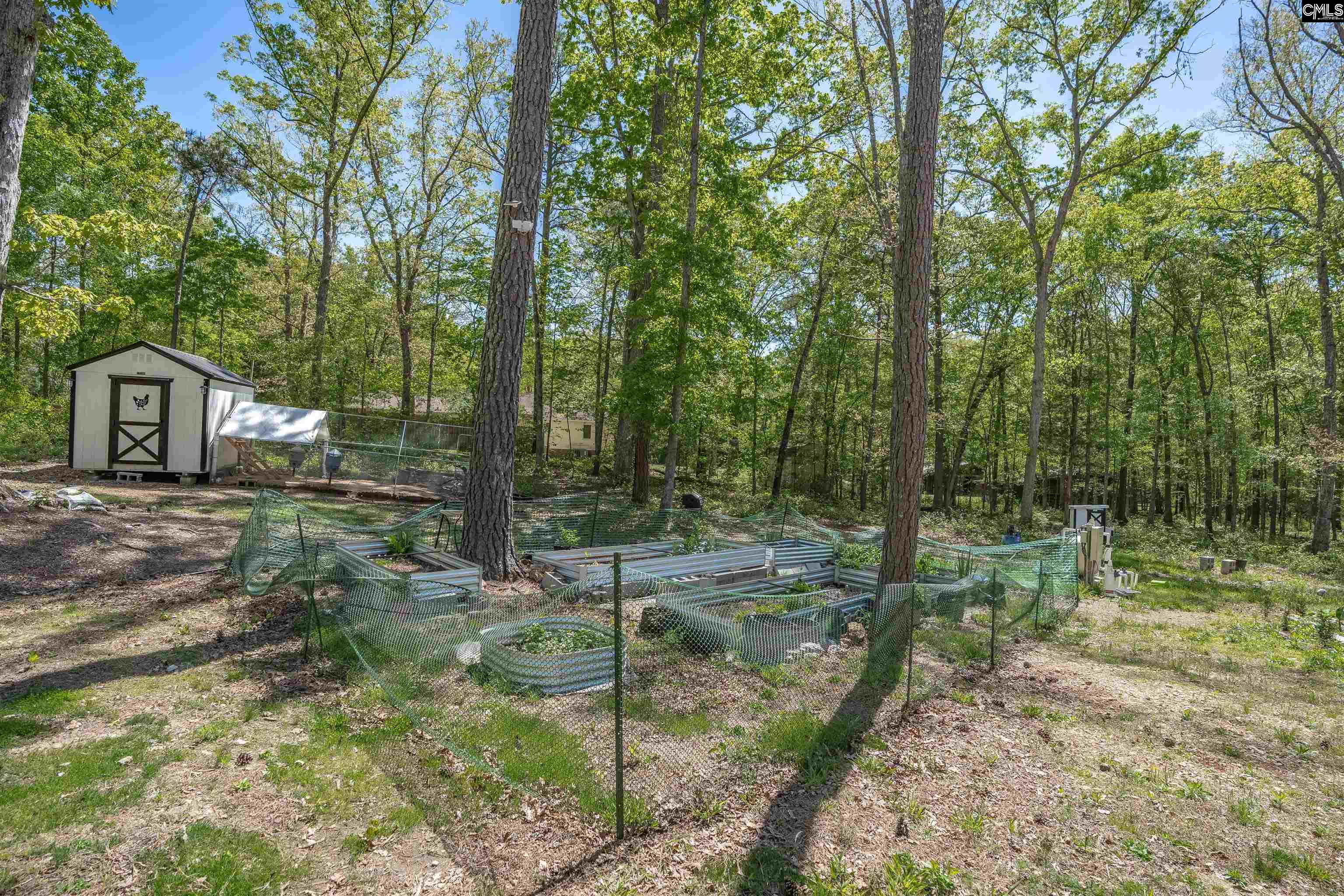 437 Amicks Ferry Road Chapin, SC 29036 - Photo 39 of 45