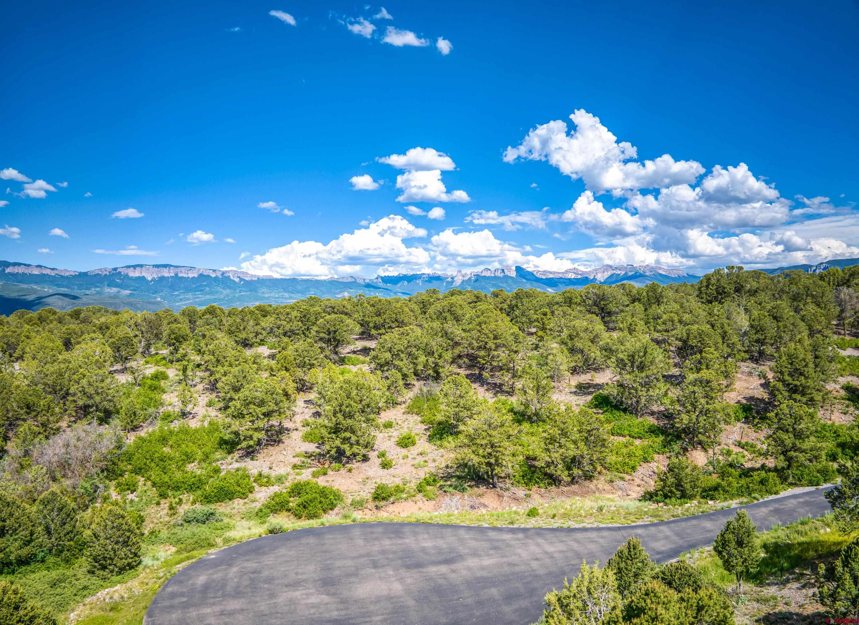 Lot 9 Pointe Escape Drive Ridgway, CO 81432 - Photo 28 of 33