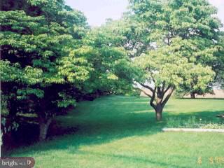 60 Crystal Cave Road Kutztown, PA 19530 - Photo 4 of 6 Gallery Image 4