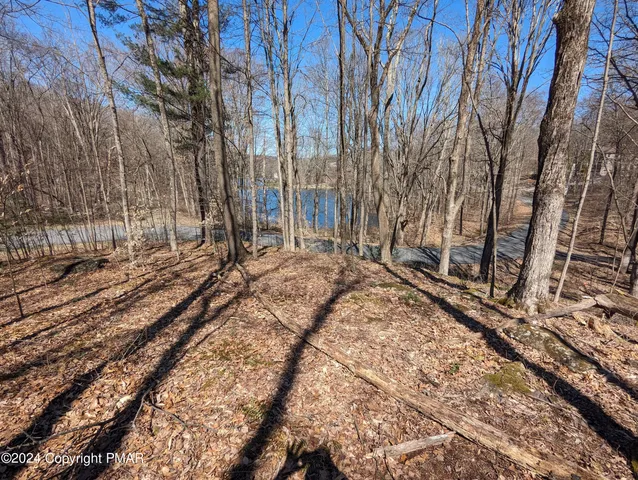 a view of a backyard of the house