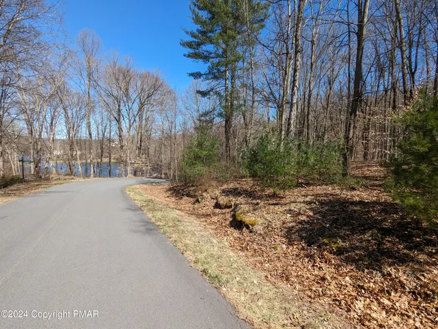 a view of a yard with trees