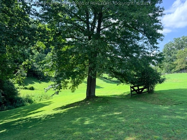7871 Ivydale Road Ivydale, WV 25113 - Photo 18 of 48 Field