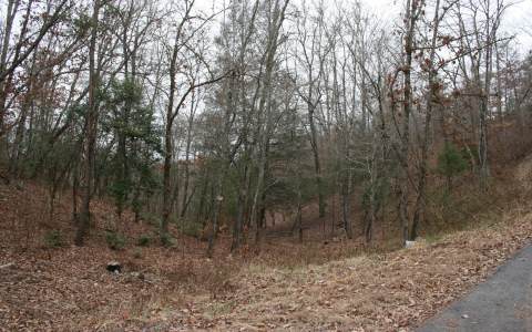 Lot 7 Jarrett Road Hayesville, NC 28904 - Photo 1 of 1 Main View
