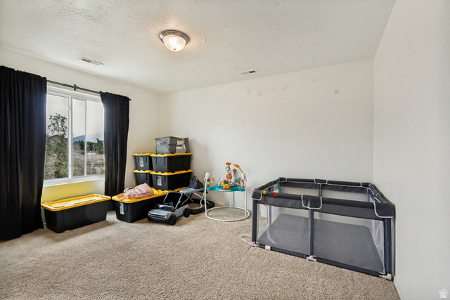 1427 South 1100th Street West Springville, UT 84663 - Photo 31 of 44
