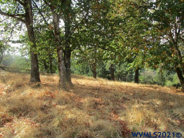 1066 Twin Hills Road Southeast Jefferson, OR 97352 - Photo 8 of 13