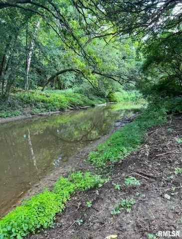 a view of a lake in a forest