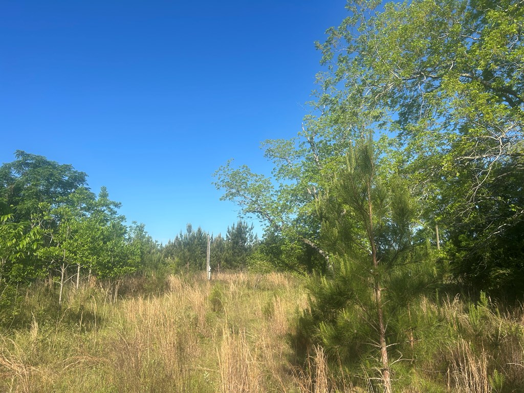 3574 East Cottonwood Road Dothan, AL 36301 - Photo 10 of 30