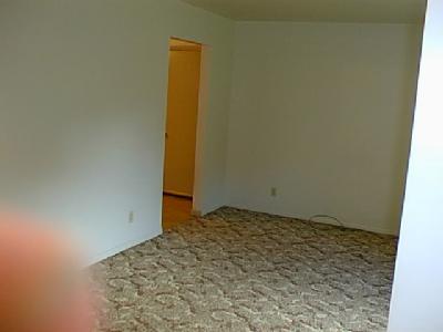 57801 Patterson Lane Three Rivers, MI 49093 - Photo 3 of 11 Additional Photo