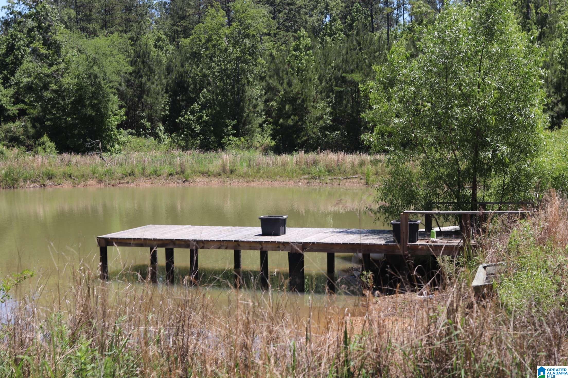 2930 Shocco Springs Road Talladega, AL 35160 - Photo 58 of 93