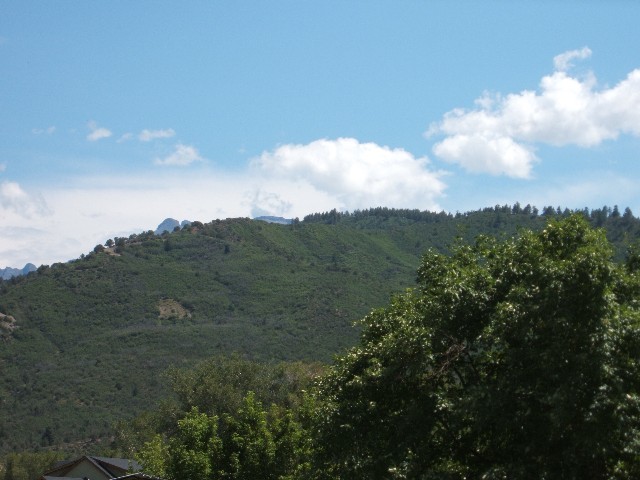 406 Le Ranch Boulevard Ridgway, CO 81432 - Photo 4 of 5 Additional Photo